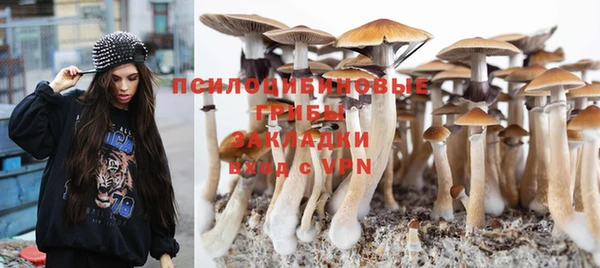 герыч Лиски