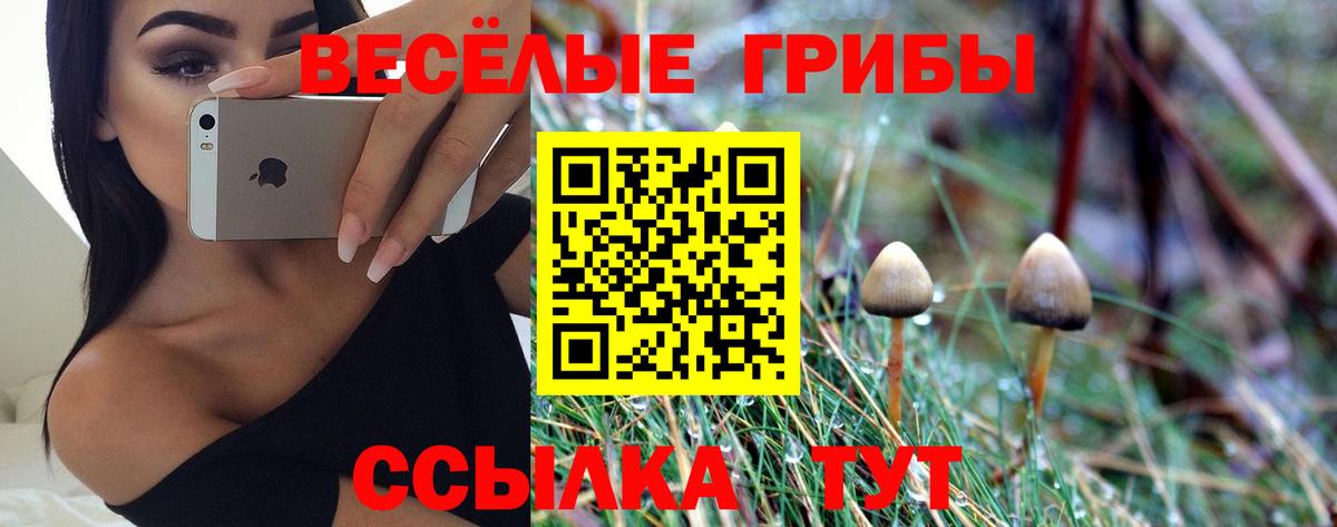 Галлюциногенные грибы прущие грибы  Вход с VPN  Псилоцибиновые грибы Magic Shrooms  Маркс 