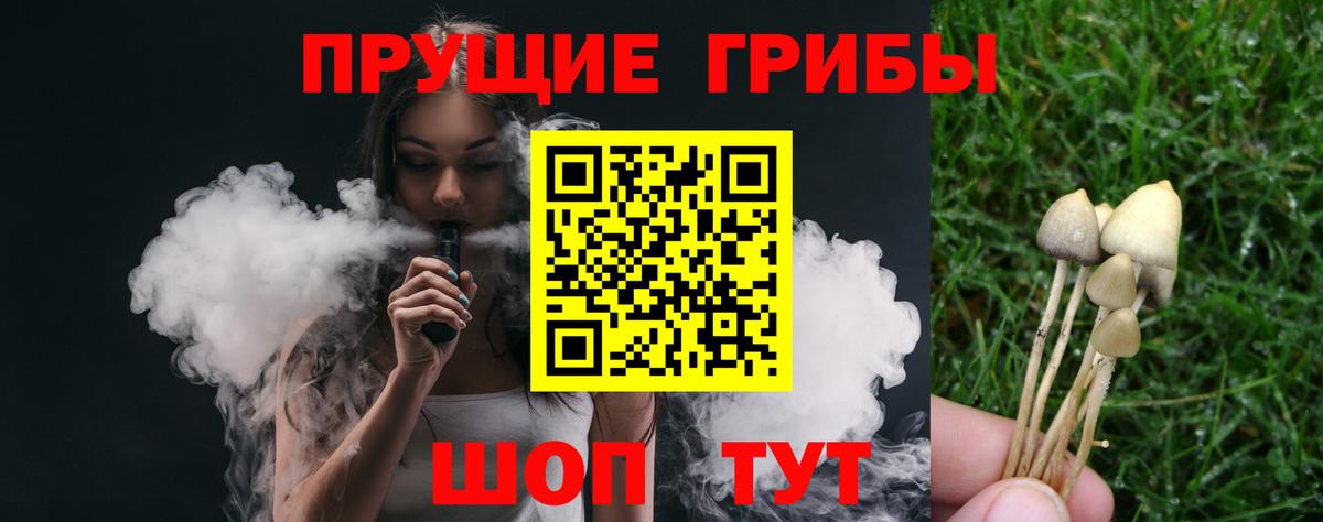 Псилоцибиновые грибы прущие грибы Маркс